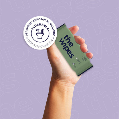packs — the wipes® pocket 54un